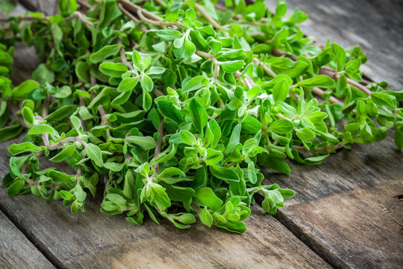 Fresh raw green herb marjoram on a wooden table 2023 11 27 05 23 01 web
