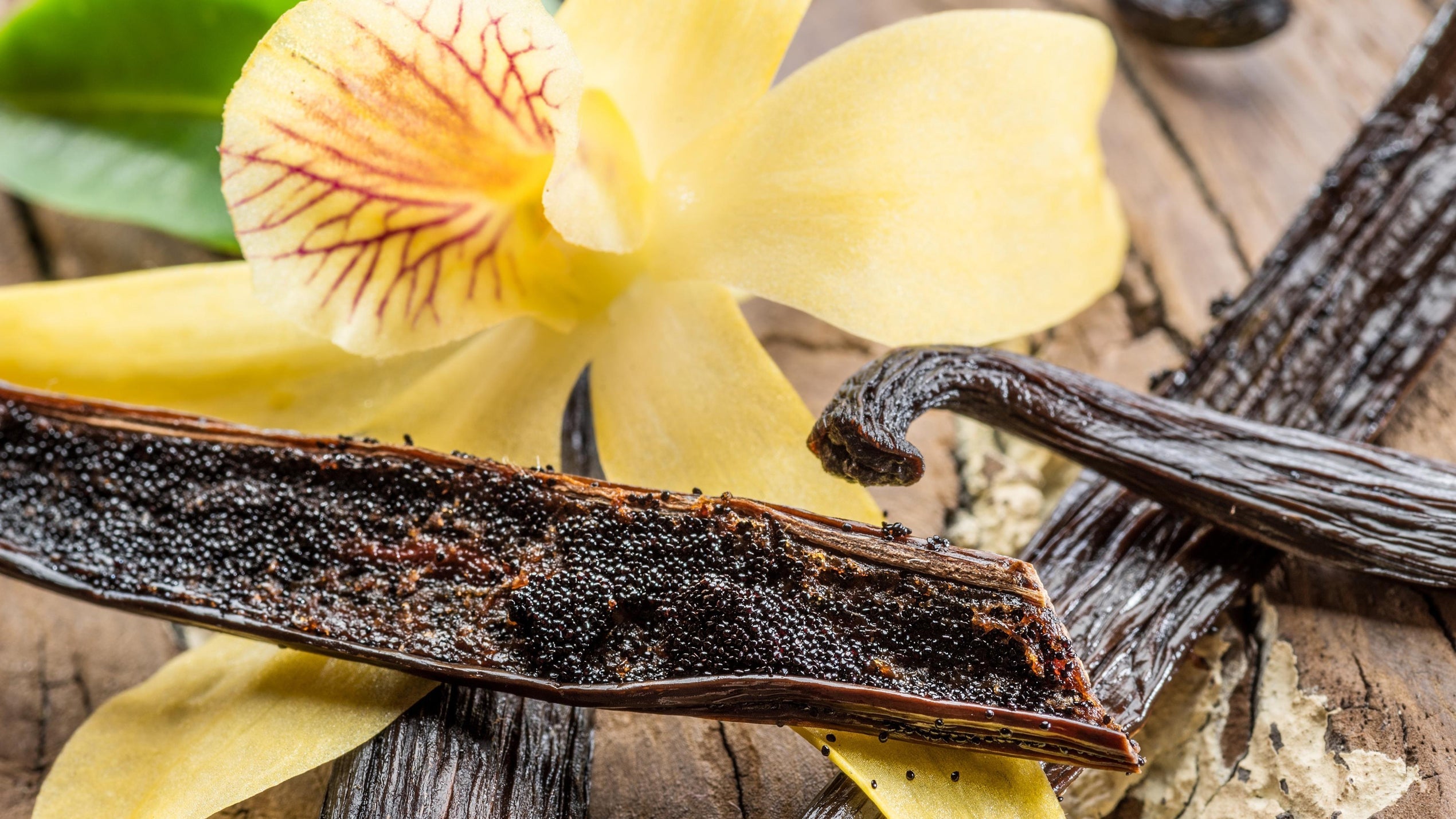 Tahitian Vanilla Beans: Origins and Why Is It So Expensive?