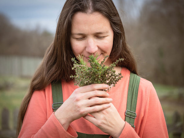 The Benefits of Five Different Spices That are Used in Mixed Herbs