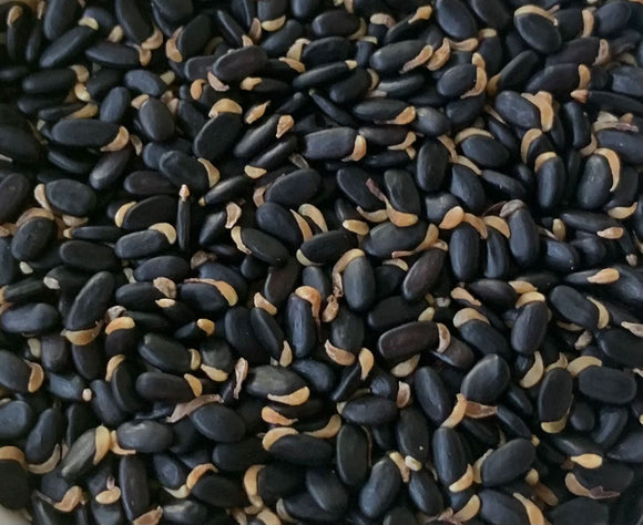 Wattle Seed Roasted & Ground Australian Native 12g