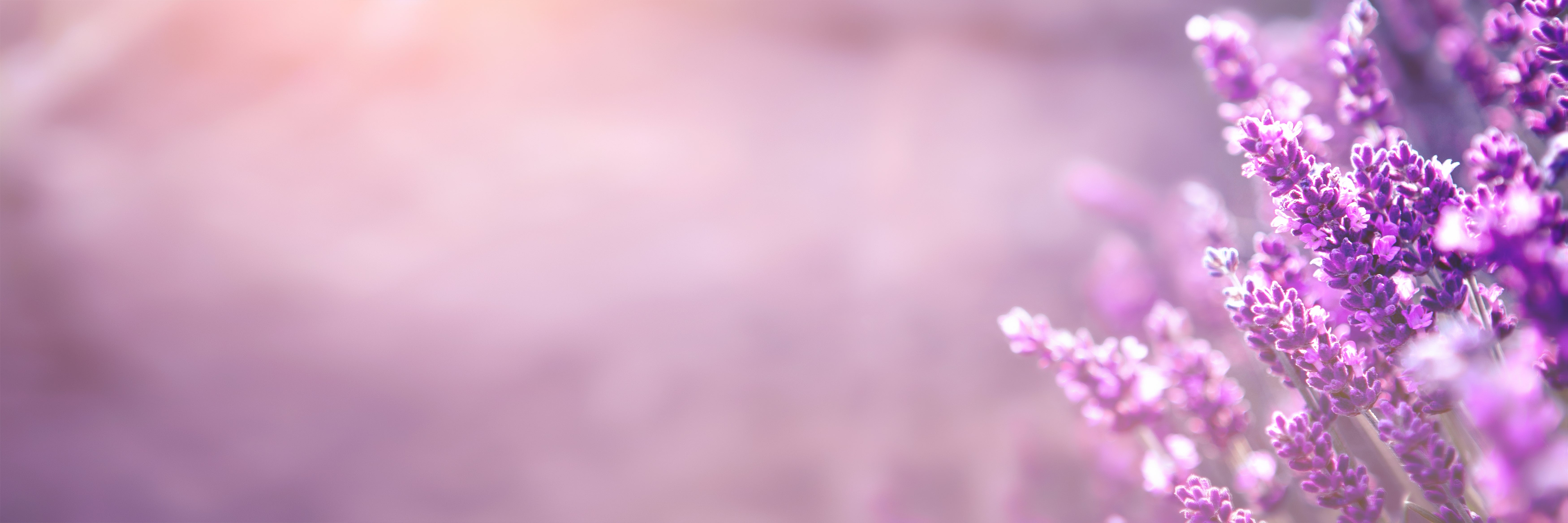 A to Z of Herbs & Spices